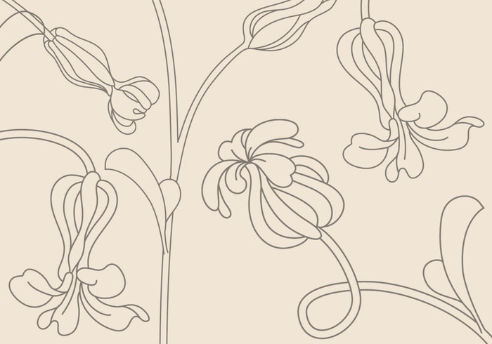 Flor